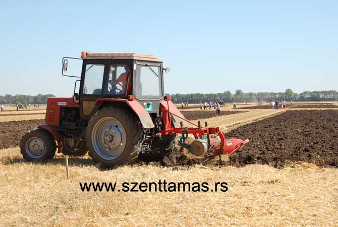 szenttamasi_barazda_2015_aug_1_kepek_1